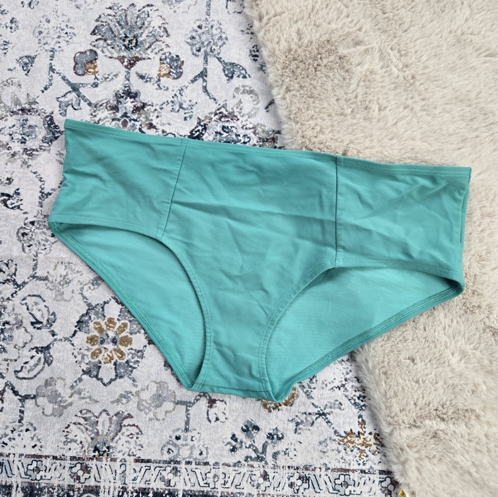 Aerie Bikini Bottoms Women Large